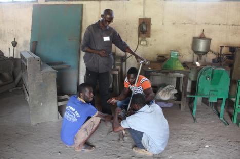 Cassava uprooter group